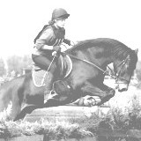Equestrian